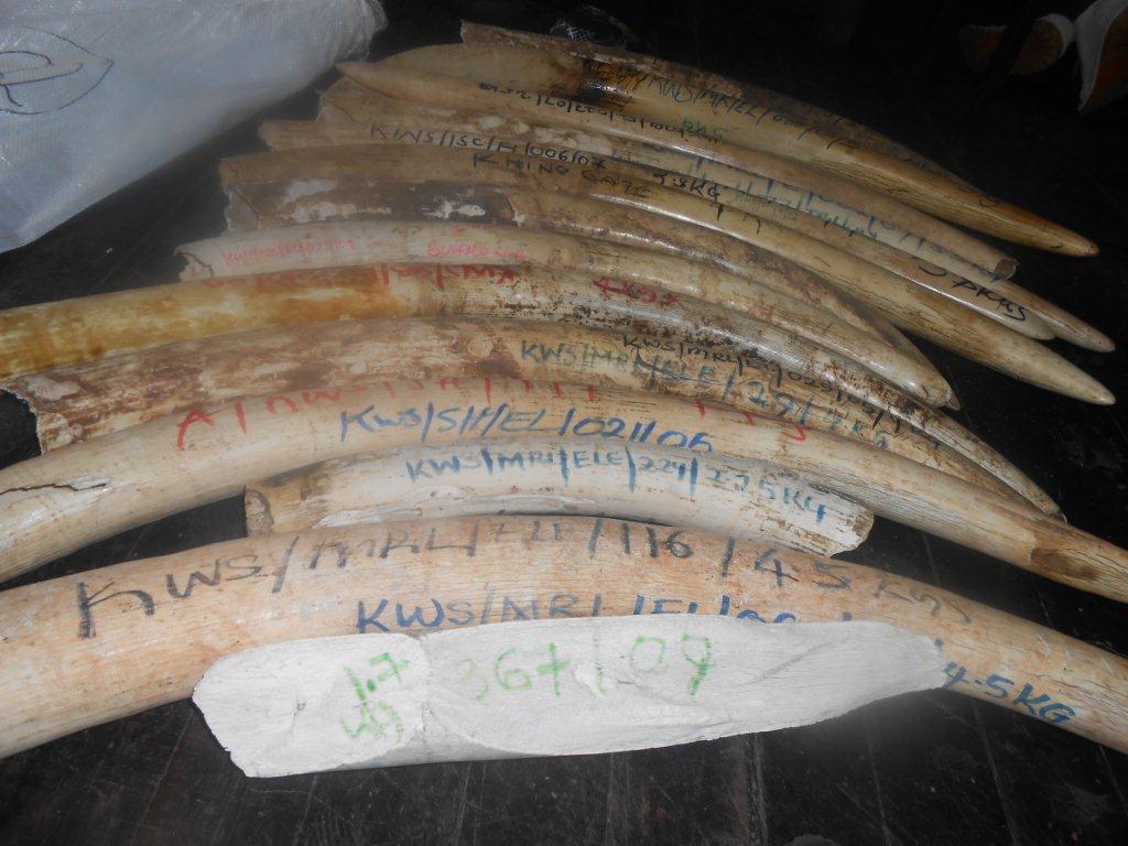 INVENTORY OF KENYA’S ELEPHANT IVORY AND RHINO HORN STOCKPILES