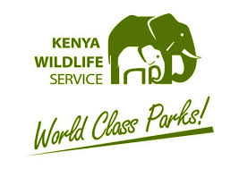FOUR POLICE OFFICERS TO BE CHARGED WITH ILLEGAL POSSESSION OF IVORY