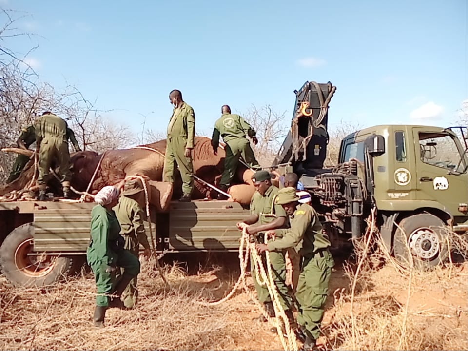 kws