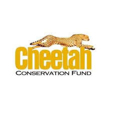Cheetah Conservation Fund