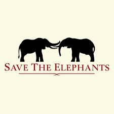 Save the Elephants Foundation