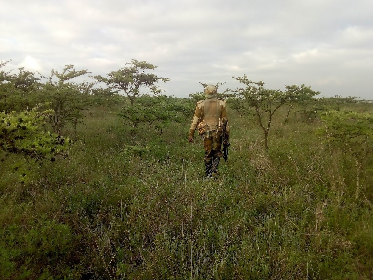 ​   Rhino unit rangers on patrol in Nairobi Park  ​