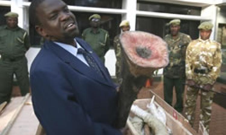 KWS IMPOUNDS 1 MILLION DOLLAR TROPHY