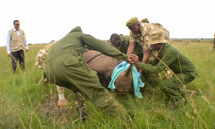 kws