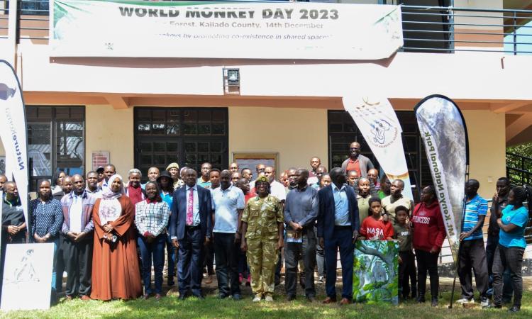 World Monkey Day