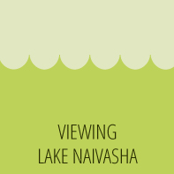 Viewing Lake Naivasha